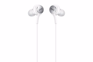 Samsung AKG Wired In-Ear Headphones USB-C valge (EO-IC100BWEGEU)