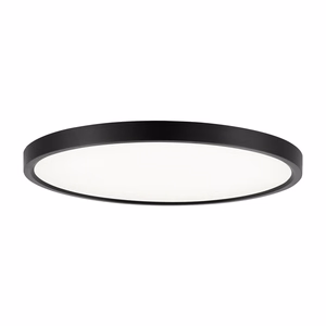 Smart Ceiling Lights