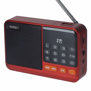 Setty mini FM radio + Bluetooth speaker SFM-01M