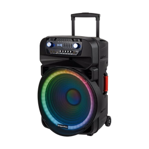 60 W aktiivkõlar 2 juhtmevaba UHF-mikrofoni, SD, Bluetoothi, FM-i, USB ja LED-iga