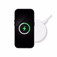 Mag Leather Ümbris Apple iPhone 14 oranž