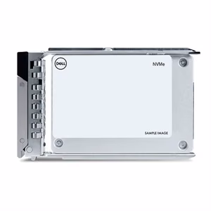 Dell 400-BMVP 1600 GB