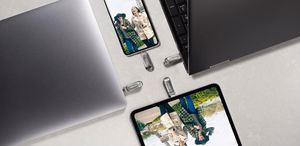 USB-C mälupulk SANDISK 512GB SDDDC4-512G-G46