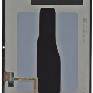 LCD-ekraan Samsung X400/X406 TAB S10 Lite 10.9 2025 puuteekraaniga, must, originaal (hoolduskomplekt)