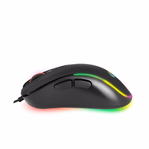 Esperanza EGM303 hiir parema käe USB Type-C optiline 2400 DPI