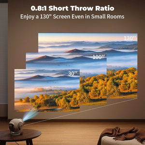 Projector Reach TP360 white