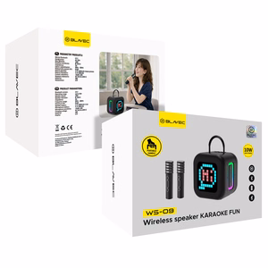 Blavec портативная Bluetooth колонка WS-09 Karaoke Fun - 10W с 2 микрофонами и дисплеем (WS09-2MB) черный