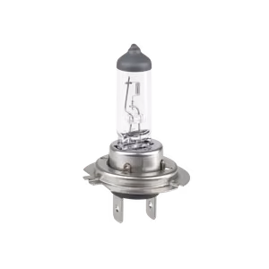 H7 autopirn, 12 V, 55 W