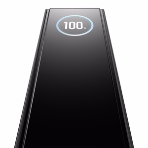 Внешний аккумулятор EcoFlow RAPID 25000 mAh, 170W
