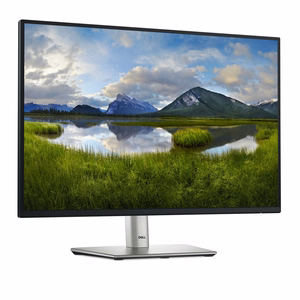 DELL P-seeria P2425E monitor 61,1 cm (24,1") 1920 x 1200 px WUXGA LCD Must