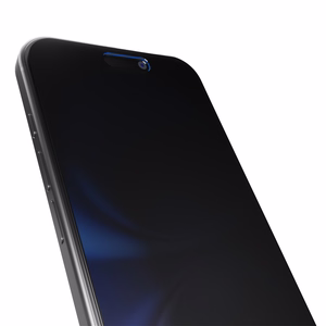 Puro Privacy Karastatud klaas jaoks iPhone 16 Pro