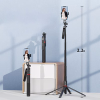 Blavec Selfie Stick Aluminium Fusion P-08 tripod + remote control + 1 lamp 2,2 metres (SSFP08-TR1LB22) must