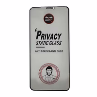Karastatud klaas ESD Anti-Static Privacy Samsung A556 A55 5G