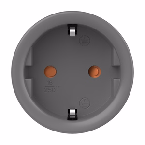 Sonoff S60ZBTPF ZigBee nutikas pistikupesa