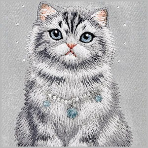 Nimmy Lucky Fashion Cat MagSafe ümbris iPhone 17 Pro hall