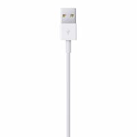 Apple Lightning - USB 2 m Balta