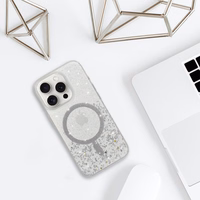 Tel Protect Moonlite Magsafe Ümbris jaoks Iphone 17 silver clear