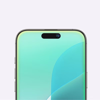 AmazingThing Radix Matt Glass karastatud klaas jaoks iPhone 16 Pro