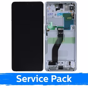 LCD Ekraan Ühildub Samsung G998 S21 Ultra Koos Frame / Phantom Hõbedane / (Service Pack)