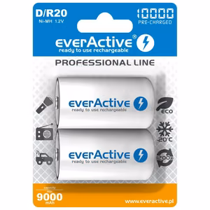 Laetavad akud everActive R20/D Ni-MH 10000 mAh kasutamisvalmis