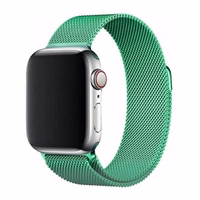 Magnetiline rihm Apple Watch 45mm Magnetiline rihm Apple Watchi käevõru - Mint