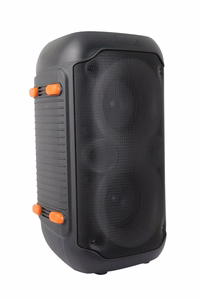 Esperanza EP156 BT FM LED RGB KARAOKE kõlar must 20W