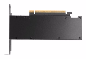 NVIDIA PNY RTX PRO 2000 Blackwell graafikakaart, 16 GB GDDR7