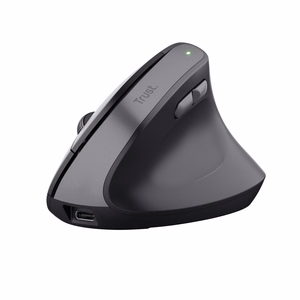 Trust TM-270 juhtmevaba hiir kontori parema käe RF optiline 2400 DPI