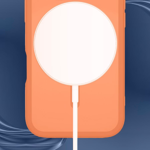 Apple iPhone 17 Pro/ 18 Pro – 3mk Misty MagCase oranž telefoniümbris