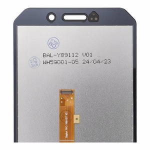 FixCell LCD Display jaoks DOOGEE S61 Pro OEM without frame