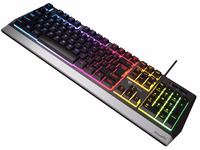 GENESIS Rhod 300 RGB keyboard Gaming USB QWERTY English must