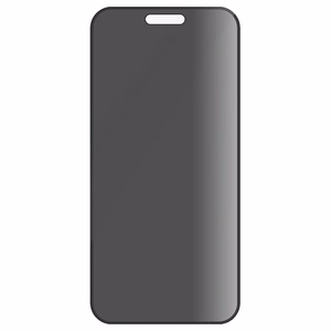 PanzerGlass Privaatsus Ekraanikaitse iPhone 16 6.1" Ultra-Wide Fit P2861