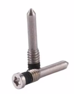 Screw jaoks iPhone X/XS/XS Max hõbedane