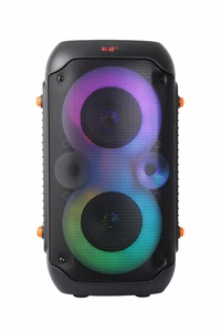 Esperanza EP156 BT FM LED RGB KARAOKE kõlar must 20W