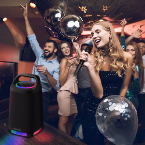 Blavec Portable Bluetooth Speaker TWS WS-01 Karaoke - 160W with microphone (WS01-MB) black (damaged packaging)