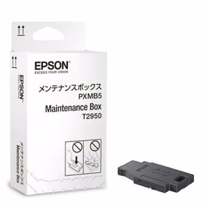 Epson C13T295000 hooldusmahuti, mudelitele WorkForce WF-100W