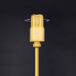 USB kaabel Remax RC-095i pruun Lightning 100cm (eemaldatava magnetpistikuga)