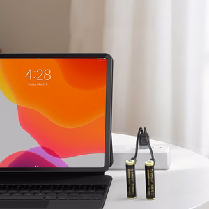 Orico Ener-G EG7C lithium battery 1.5V 500mWh AAA USB-C rechargeable battery with charging cable 4 pcs.