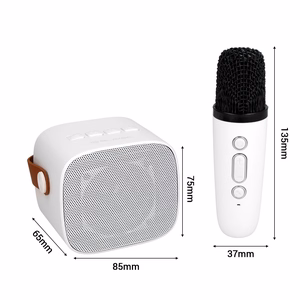 Blavec Портативная Bluetooth-колонка WS-07 Karaoke Party — 5W с 2 микрофонами (WS07-2MW) белый