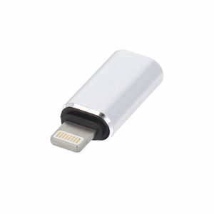 Adapter Type C (female) to Lightning (male) hõbedane