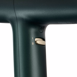 BaByliss Air Power Pro D6555DE – 1700 W iooniline föön, roheline/kuldne