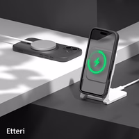 Etteri Matt Mag ümbris for Samsung Galaxy S25 must