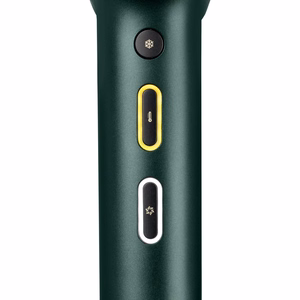 BaByliss Air Power Pro D6555DE – 1700 W iooniline föön, roheline/kuldne