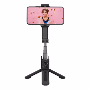 Gimbal Hohem iSteady Q