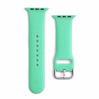Silikoonist rihm APS Apple Watch 38/40/41mm rihmaga kellarihm - Mint