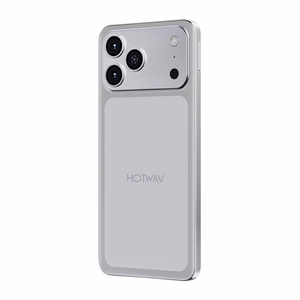 HOTWAV A17 Pro Max смартфон (серебристый)