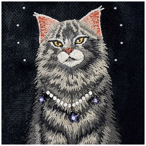 Nimmy Lucky Fashion Cat MagSafe ümbris iPhone 17 Pro must