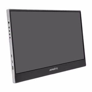 ANMITE A140W04 14" kaasaskantav monitor