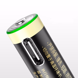 Orico Ener-G EG7C AAA Lithium Battery 1.5V 500mWh USB-C Rechargeable Battery with Charging Cable 2 pcs.