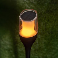 Forever Light Solar torch LED lamp SUNARI FLS-230 must